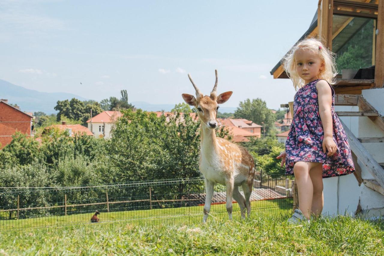 Tihiat Kut Complex Hotell Kjustendil Exteriör bild